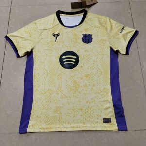 194040444 24-25 Barcelona Special Shirt