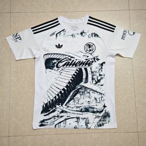 194125229 25-26 Club America Goalkeeper Shirt