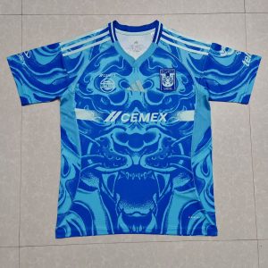 194481365 25-26 Tigres Away Shirt