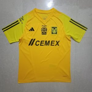 194497953 24-25 Tigres Training Shirt
