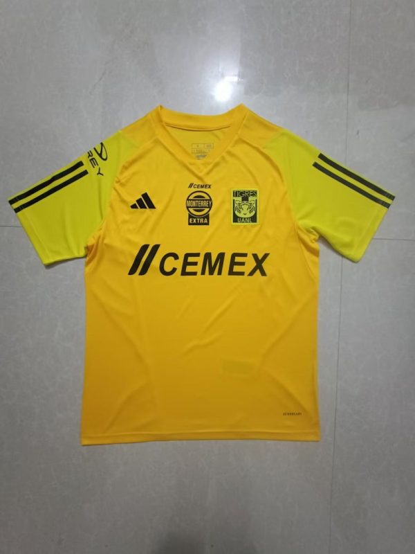 24-25 Tigres Training Shirt