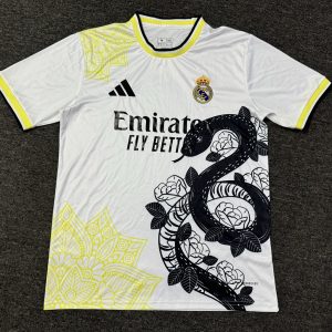 25-26 Real Madrid Special Shirt