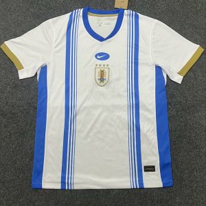 201201080 24-25 Blue White Training Shirt