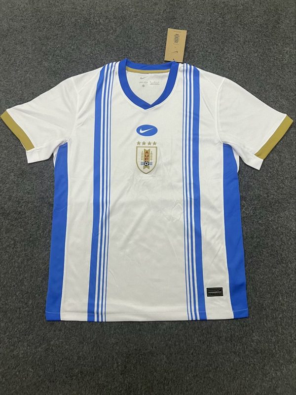 24-25 Blue White Training Shirt