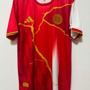 215188001 25-26 Bayern Munich Special Shirt