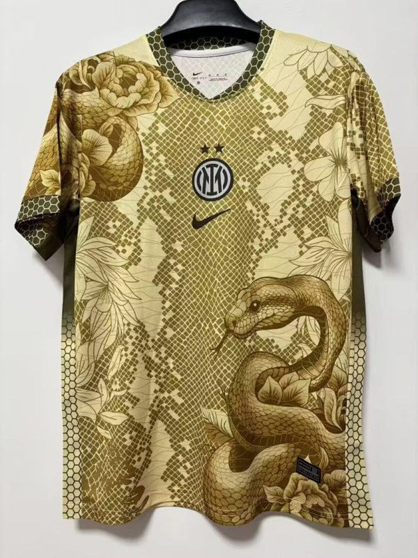 25-26 Inter Milan Special Shirt