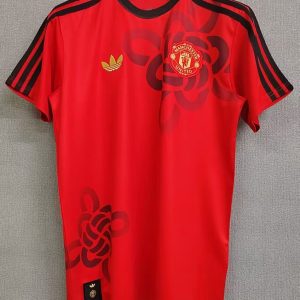 228134537 25-26 Manchester United Special Shirt