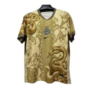 25-26 Inter Milan Special Shirt