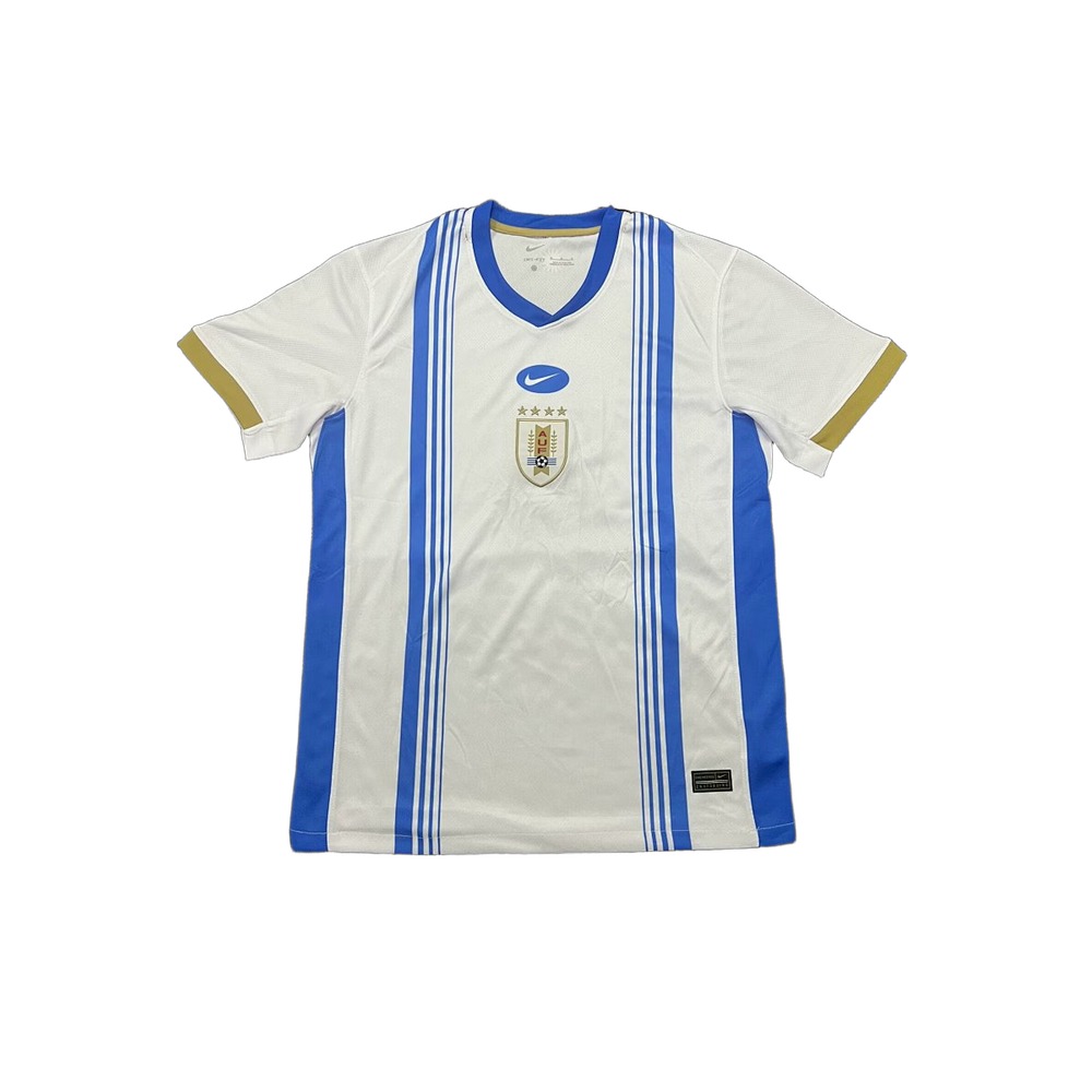24-25 Blue White Training Shirt