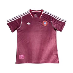 5824-crop 25-26 Bayern Munich Special Shirt