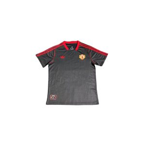 25-26 Manchester United Special Shirt