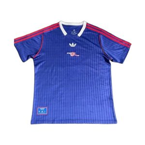 5977-crop 25-26 Arsenal Training Shirt